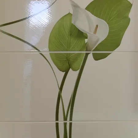 De L'arc En Ciel לינה וארוחת בוקר 3*