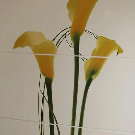 De L'arc En Ciel 3* Fauquembergues