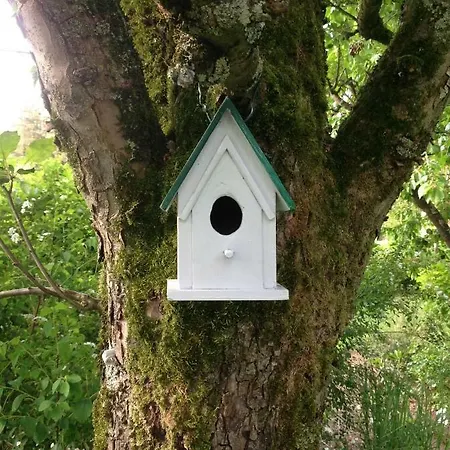 De L'arc En Ciel Fauquembergues